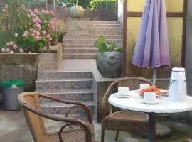 Apartman Milada Vrvilo