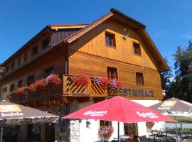 Penzion Planicka, homestay in Černá v Pošumaví