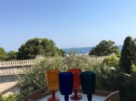 Casa la Mimosa