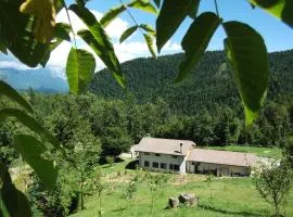 Bosco delle Rune ..un angolo di paradiso