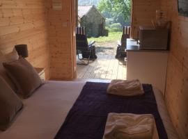 Romantic Getaway Luxury Wooden Cabin With Private Hot Tub and BBQ, pet-friendly hotel in Aberystwyth