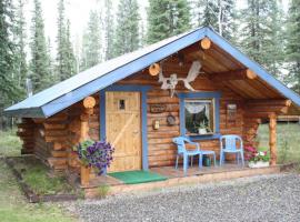 Fox n Fireweed Cabins, hotel Tokban