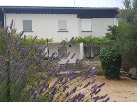 Apartments Metka