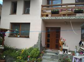 Casa Teo, privat indkvarteringssted i Ocna Sibiului