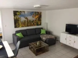 Gemütliche, ruhig gelegene Wohnung in Cochem