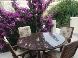 Sara Apartments Baska Voda