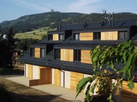 Apartmán U Sjezdovky