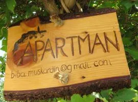 Apartman Biba