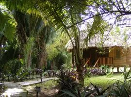 Cohune Palms River Cabanas
