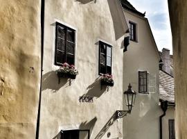 Penzion U náměstí - At the Town Square, luksushotelli kohteessa Český Krumlov