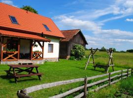 Zielony Gaj, farm stay in Borowe