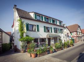 Hotel Lauer, cheap hotel in Schoneck