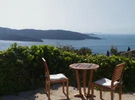 La Coccinelle