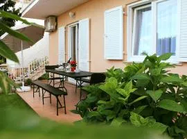 Apartman Ruza 1