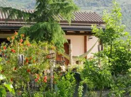 Italyfarmstay