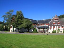 Viesnīca Naturhotel Lindenhof pilsētā Rechenberg-Bienenmühle