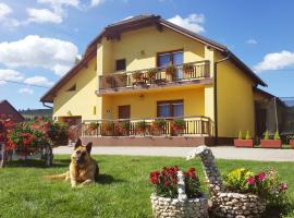 Apartment Satori, hotel in Korenica