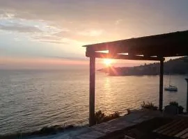 Sea Shelter