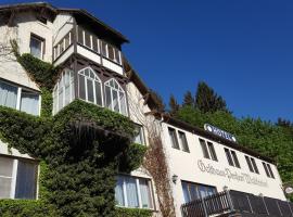 Pension Waldfrieden, hotel with parking in Wolkenstein