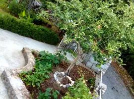 Country house "Lipa" Komarno