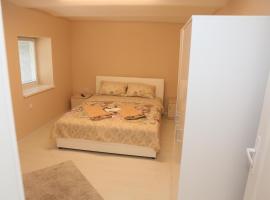Apartman Centar 1