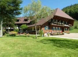 Hotel Lawine, hotel v destinaci Todtnau