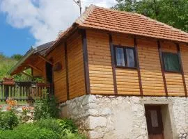 Domacinstvo Prentovic