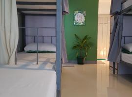 Green Turtle Backpackers Guesthouse, Puerto Princesa, hotel in Puerto Princesa