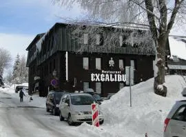 Hotel Bozi Dar - Excalibur