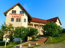 Pension Laura Cheile Turzii