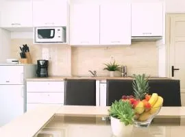 Authentic Dalmatian House