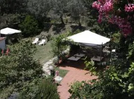 Casa Virgilio