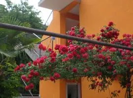 SAN MARKO 2