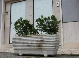 Locazione Turistica "Loft Roma Tiburtina"