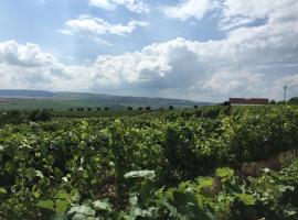 Wineyards Salin, glamping en Turda