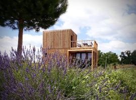 Man&egrave;ge de la Chapini&egrave;re - DadaLoge tiny-house, chal&eacute; alpino em Ch&acirc;teauvieux