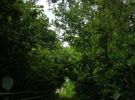 Старый дом!