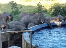 Nambiti Plains Lodge