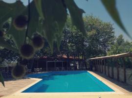 Apollo Beach Hotel, hotel v destinaci Marathiás