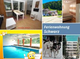 Ferienwohnung Schwarz, Hotel in Todtmoos