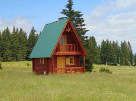 Holiday Home Jabucilo, povoljni hotel na Žabljaku