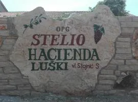 Apartment and Rooms Hacienda Stelio