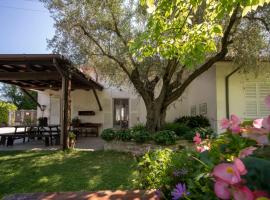 Trecentolivi B&b, bed & breakfast i Montignano