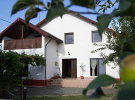 Vila toate Panzele Sus, hotel en Corbu