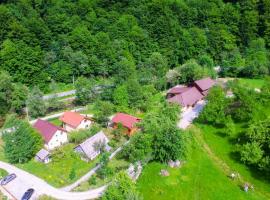 Pensiunea Lupul Dacic: Costeşti şehrinde bir otel