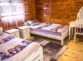Lux Apartment