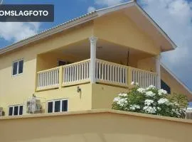 Villa Mila, 4 Bedroom holiday home with private pool and tropical view in a quiet residential area of Willemstad, Curacao