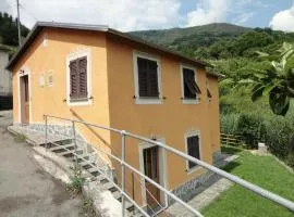 Nonno Baciccia