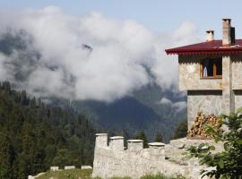 Serinyer Dağ Evi, hotel di Ayder Yaylasi