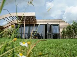 Chalet in Netherlands with Scenic Meadow Views